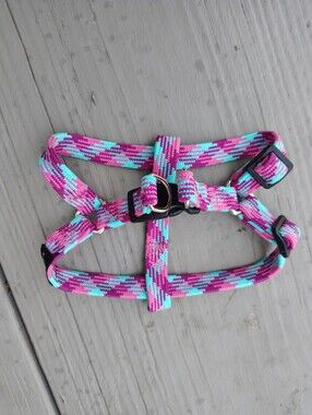 Pink & Teal Patterned Harness